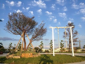 Sweetlight Bed And Breakfast