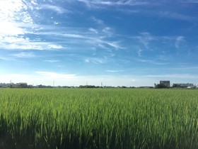 Sweetlight Bed And Breakfast