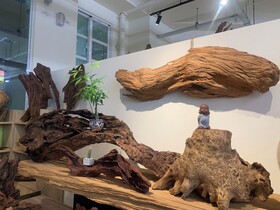 Dao Fashion Villa