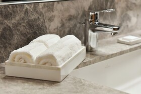 THE AMNIS, a Luxury Collection Hotel, Kaohsiung