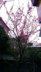 King Town Hotel