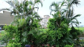 Victoria B&B - Luodong