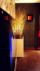 Discovery Motel Tucheng