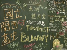 Tourist Bunny