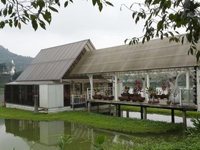 Bella Forest Bed & Breakfast