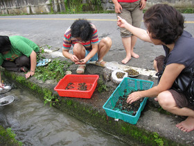 Country Breeze Homestay House