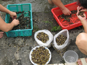 Country Breeze Homestay House