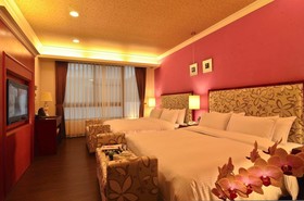 Hotel Modern Puli