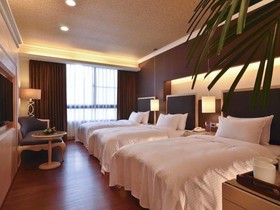 Hotel Modern Puli