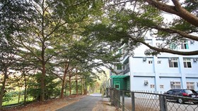 Taumi House