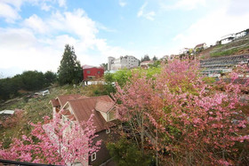 Chingjing New Paradise B&B