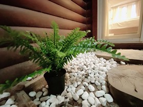 Ailiga Travel Villa