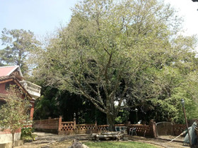 F.F.F. The 24H Valley Food Restauran B&B