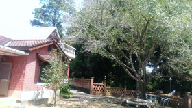 F.F.F. The 24H Valley Food Restauran B&B