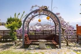 Flower and Star Garden