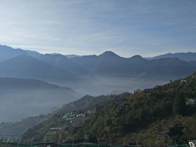 Flower and Star Garden