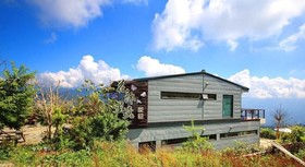 Flower and Star Garden