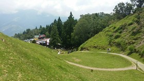 Flower and Star Garden