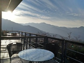 Flower and Star Garden