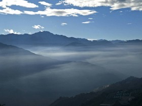 Flower and Star Garden