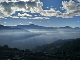 Flower and Star Garden