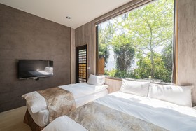 Flower and Star Garden