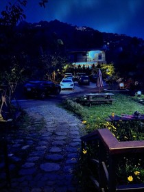 Flower and Star Garden