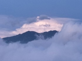 Flower and Star Garden