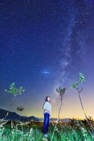 Jing Stary Sky