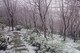 Liching Garden Villa