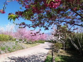 Mone Garden Resort
