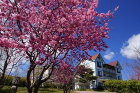 Mone Garden Resort