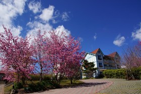Mone Garden Resort