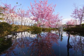 Mone Garden Resort