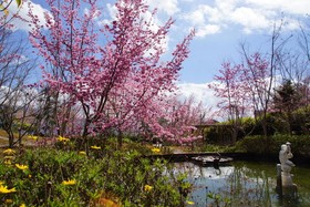 Mone Garden Resort