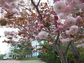 Mone Garden Resort