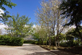 Mone Garden Resort