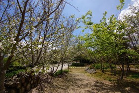 Mone Garden Resort