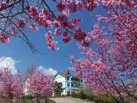 Mone Garden Resort