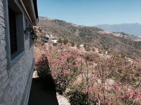 Spring Ground B&B