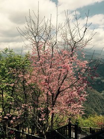 Spring Ground B&B