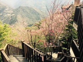 Spring Ground B&B