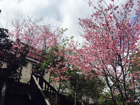 Spring Ground B&B