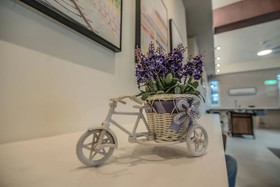 Follow Me-Vogue Homestay