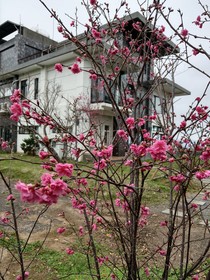 Moonstone Bed And Breakfast
