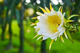 Hualien Taroko Yu'S Homestay Bb