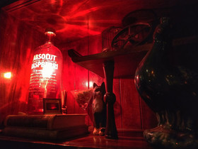 GOIN Old House & Bar
