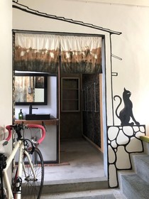 Shadow House
