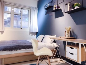 Ha Ha Cat Home Kaifeng