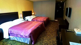 Metropolis Hotel